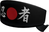 Ultimate Victory Headband