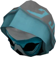 Masked Hood of the Truest Seer