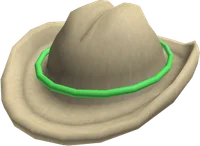 Space Cowboy