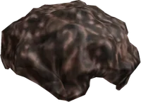 Telamon Hair