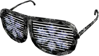 Snowflake Shutter Shades